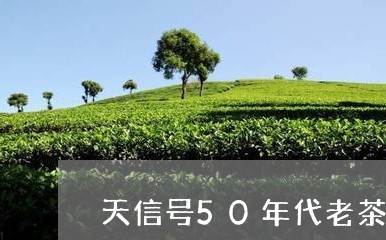 天信号50年代老茶/2023032039704