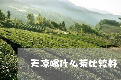 天凉喝什么茶比较好/2023041670804