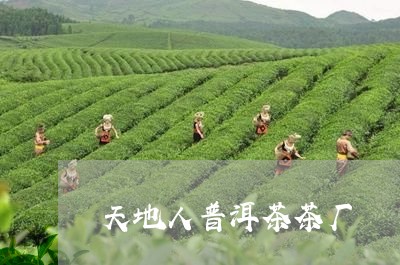 天地人普洱茶茶厂/2023033045047