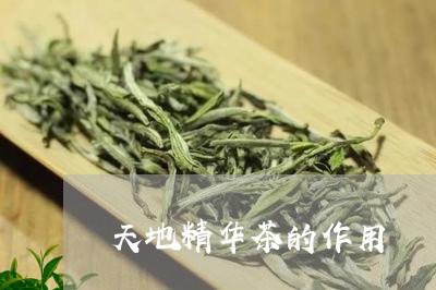 天地精华茶的作用/2023032414947