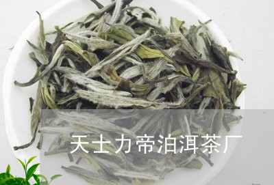 天士力帝泊洱茶厂/2023032571605