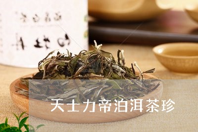 天士力帝泊洱茶珍/2023032547380