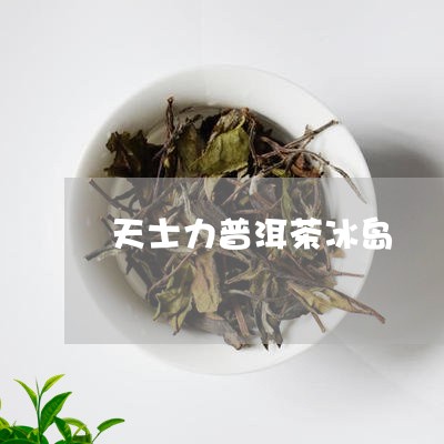 天士力普洱茶冰岛/2023041392692