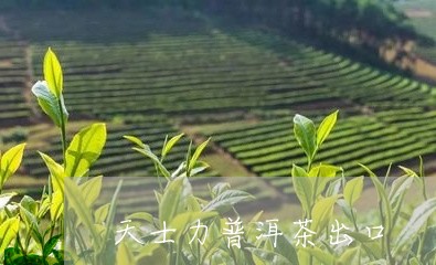 天士力普洱茶出口/2023041053136