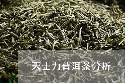 天士力普洱茶分析/2023032958374