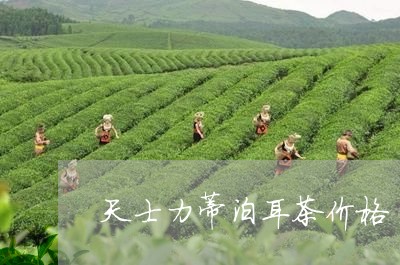 天士力蒂泊耳茶价格/2023032196280