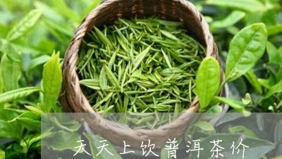 天天上饮普洱茶价/2023031632503