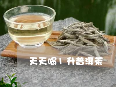 天天喝1升普洱茶/2023040179503