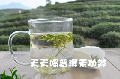 天天喝普洱茶功效/2023041015959