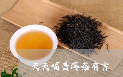 天天喝普洱茶有害/2023041318471