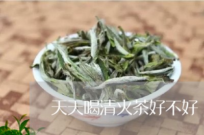 天天喝清火茶好不好/2023031826268