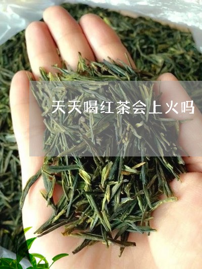 天天喝红茶会上火吗/2023041556169