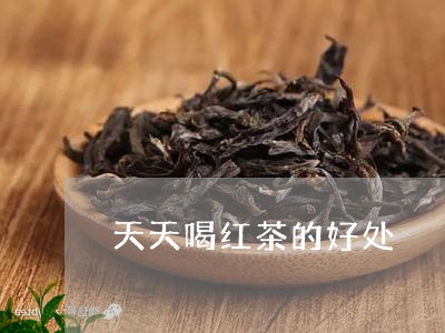 天天喝红茶的好处/2023032541834