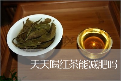 天天喝红茶能减肥吗/2023041534836