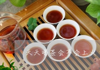 天天喝茶会不会上火/2023032089602