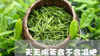 天天喝茶会不会减肥/2023032087269