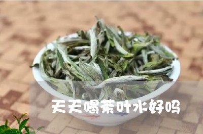 天天喝茶叶水好吗/2023032663148