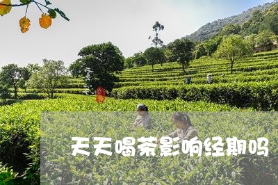 天天喝茶影响经期吗/2023032005037