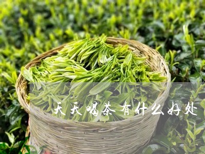 天天喝茶有什么好处/2023032042917