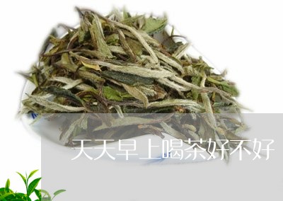 天天早上喝茶好不好/2023041697260