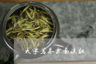 天宇茗茶云南滇红/2023032900793