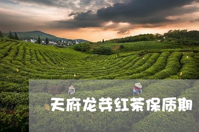 天府龙芽红茶保质期/2023031870786