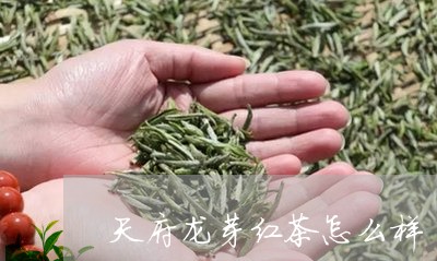 天府龙芽红茶怎么样/2023031970704