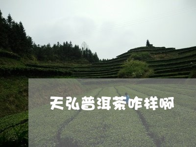 天弘普洱茶咋样啊/2023040127283