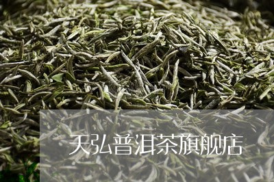 天弘普洱茶旗舰店/2023040104068