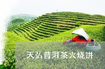 天弘普洱茶火烧饼/2023032953725