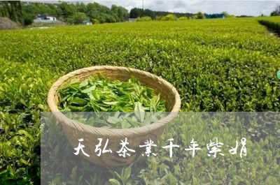 天弘茶业千年紫娟/2023032428370