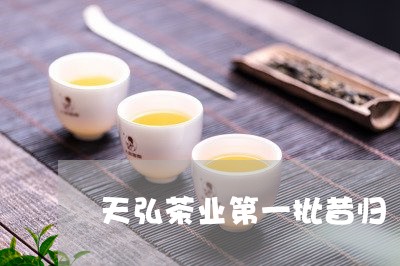 天弘茶业第一批昔归/2023031912946