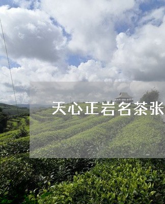 天心正岩名茶张天福/2023041655038