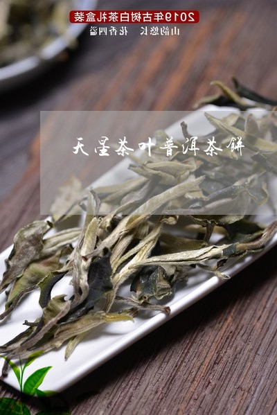 天星茶叶普洱茶饼/2023033157369