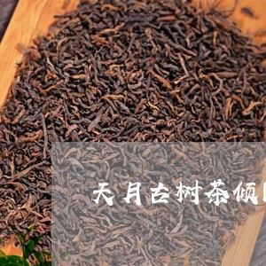 天月古树茶倾国倾城/2023032139495