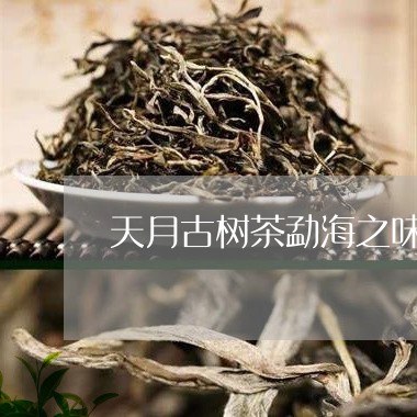 天月古树茶勐海之味/2023032289926