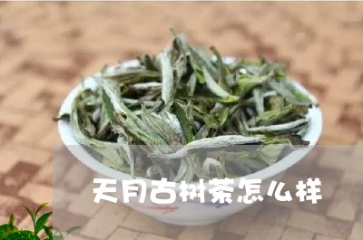 天月古树茶怎么样/2023032676258