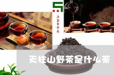 天柱山野茶是什么茶/2023041575167