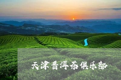 天津普洱茶俱乐部/2023031643704