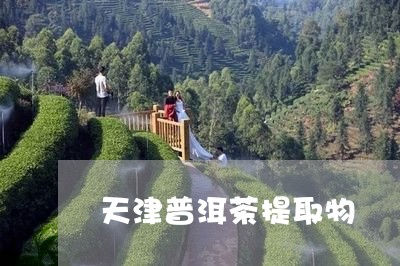 天津普洱茶提取物/2023031691738