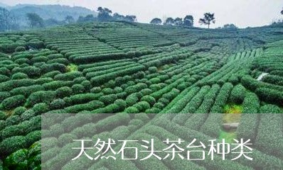 天然石头茶台种类/2023032486147