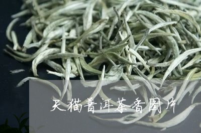 天猫普洱茶香图片/2023040160605