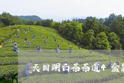 天目湖白茶茶道4盒装价格/2023033142693