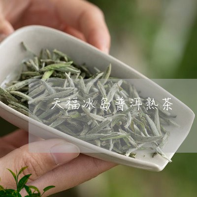 天福冰岛普洱熟茶/2023033041794