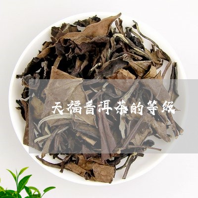 天福普洱茶的等级/2023031684058