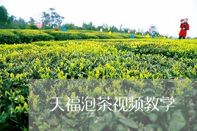 天福泡茶视频教学/2023032536859