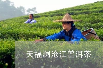 天福澜沧江普洱茶/2023033141704