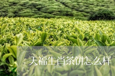 天福生肖茶饼怎么样/2023041672948