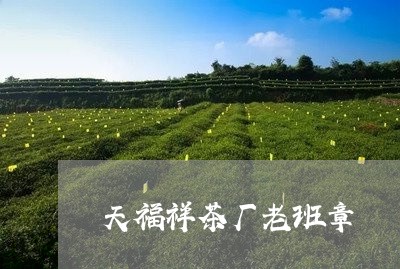 天福祥茶厂老班章/2023032996250