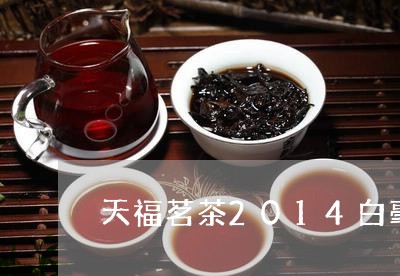 天福茗茶2014白毫银针/2023033137481